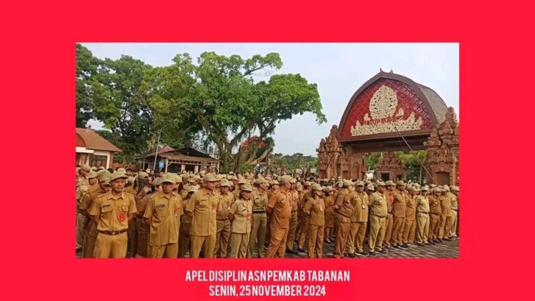 WhatsApp Image 2024-11-25 at 14.06.15