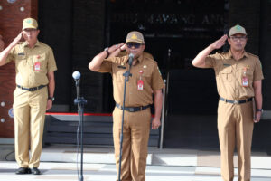 WhatsApp Image 2025-03-10 at 21.55.46