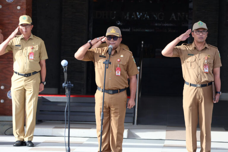 WhatsApp Image 2025-03-10 at 21.55.46