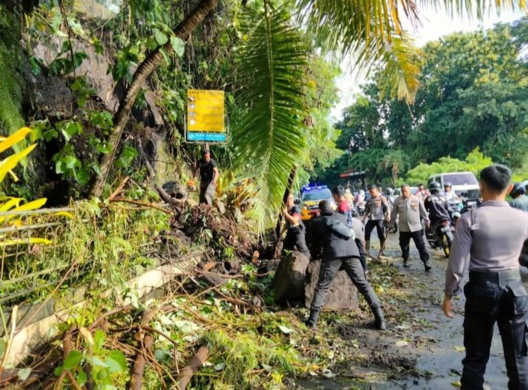 WhatsApp Image 2025-03-19 at 13.34.28