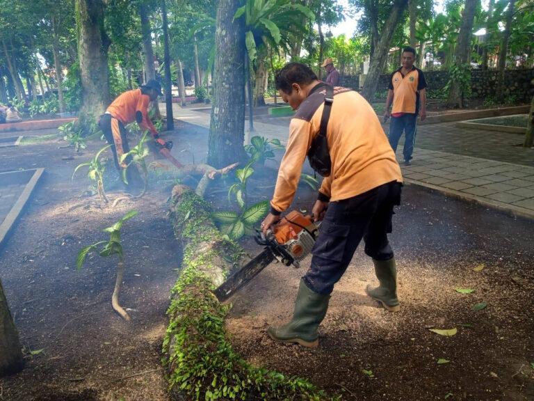 WhatsApp Image 2025-03-22 at 15.57.25