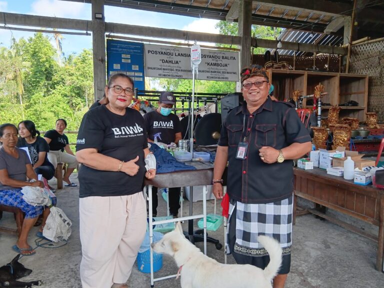 WhatsApp Image 2025-04-07 at 20.28.40