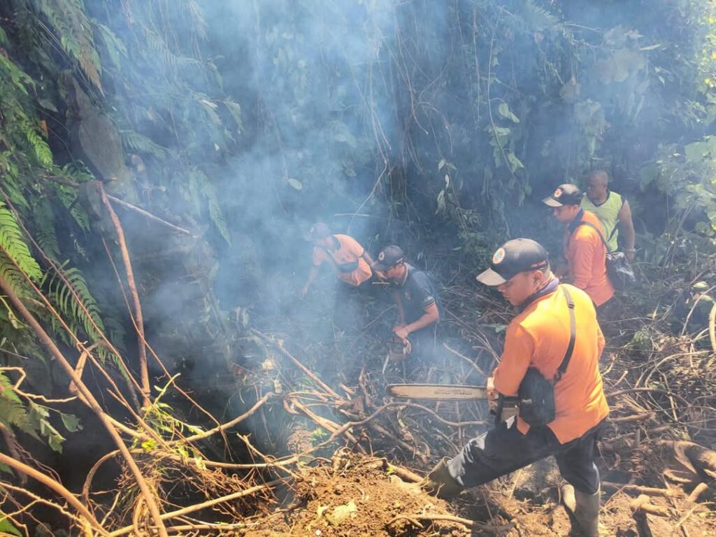 WhatsApp Image 2025-04-15 at 17.28.42