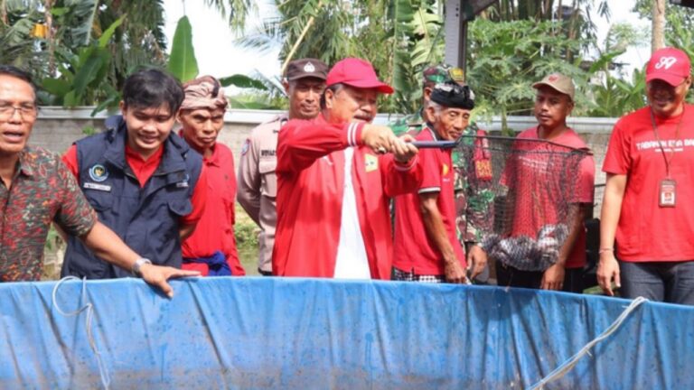 WhatsApp Image 2025-04-19 at 15.54.13