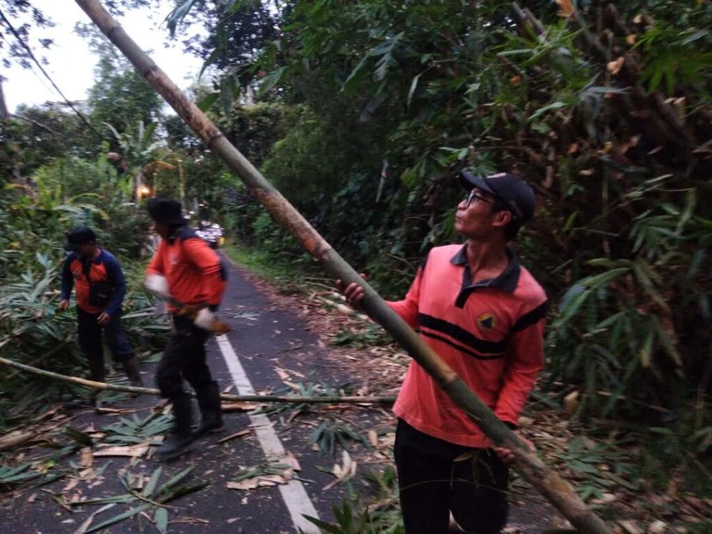 WhatsApp Image 2025-04-24 at 06.19.11