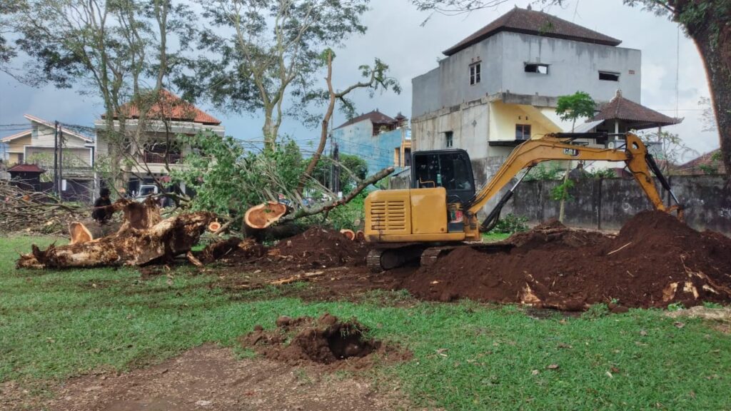 WhatsApp Image 2025-05-15 at 13.06.36