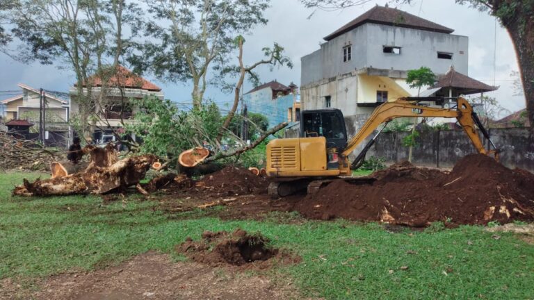 WhatsApp Image 2025-05-15 at 13.06.36