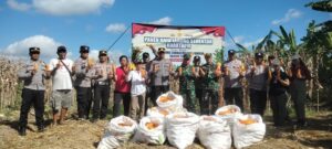 WhatsApp Image 2025-06-05 at 14.21.03