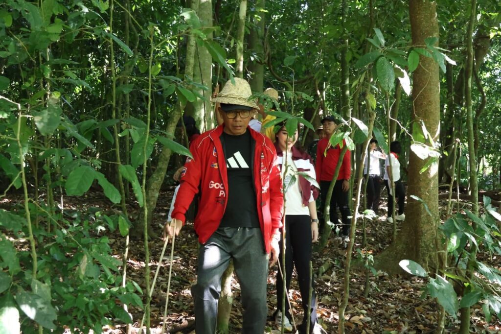 WhatsApp Image 2025-06-06 at 09.33.28