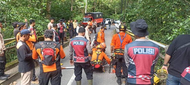 WhatsApp Image 2025-06-06 at 17.52.15