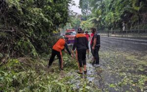 WhatsApp Image 2025-06-09 at 15.23.21