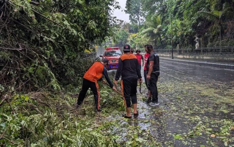 WhatsApp Image 2025-06-09 at 15.23.21