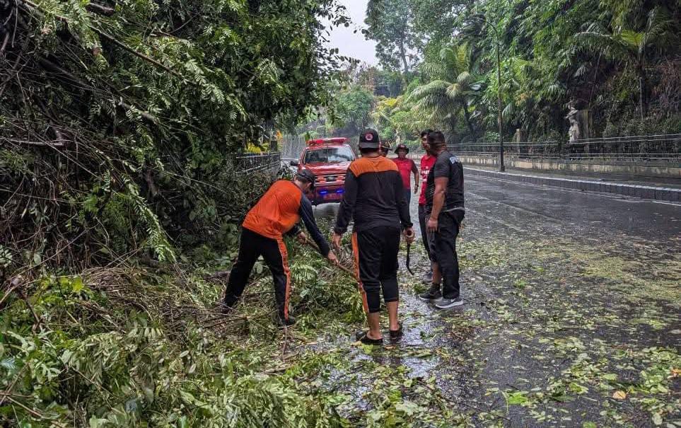 WhatsApp Image 2025-06-09 at 15.23.21