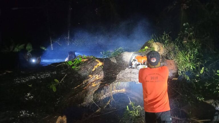 516829178_1135055035313420_8549674033467378364_n