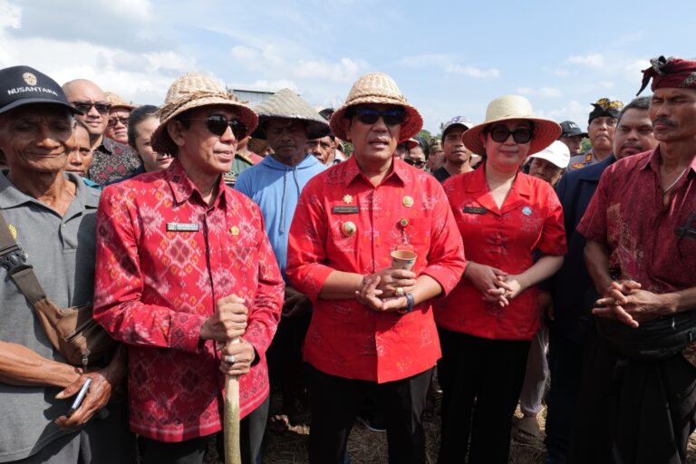 WhatsApp Image 2025-07-08 at 18.12.53