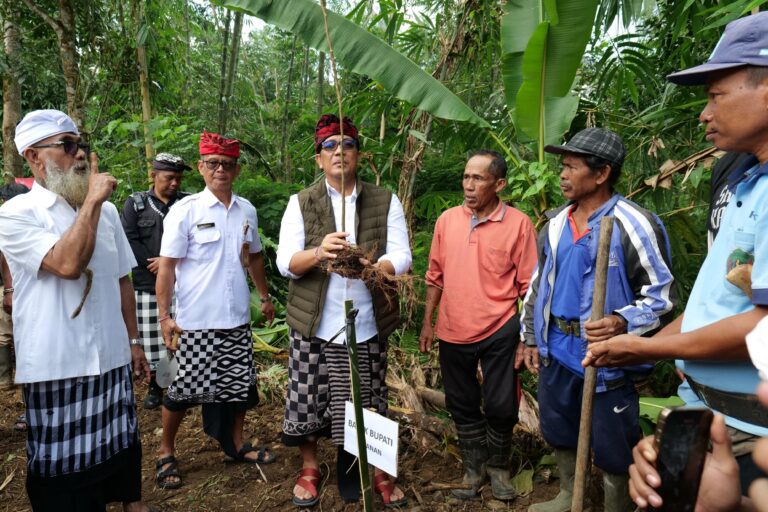 WhatsApp Image 2025-08-08 at 15.06.28