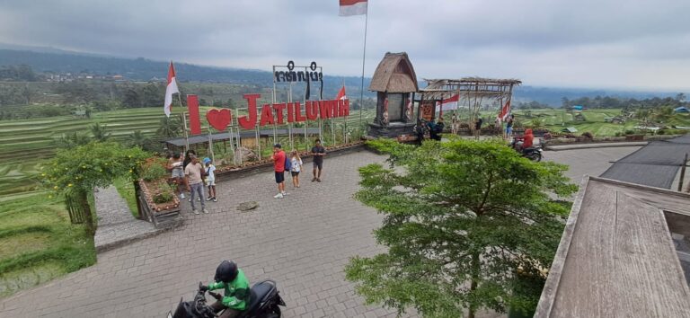 WhatsApp Image 2025-08-26 at 05.13.54