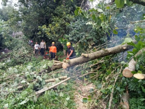 WhatsApp Image 2025-09-20 at 17.22.58