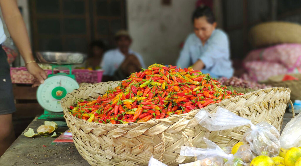 WhatsApp Image 2025-10-03 at 16.43.22