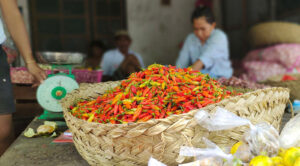 WhatsApp Image 2025-10-03 at 16.43.22