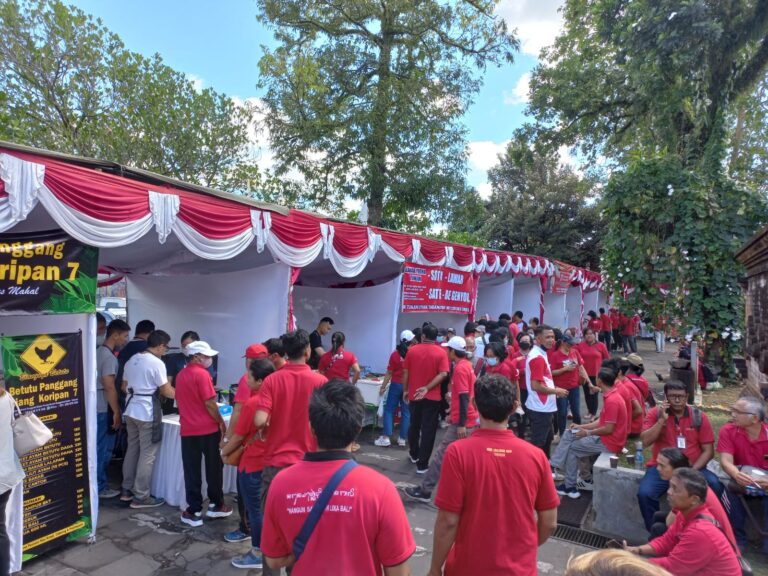 WhatsApp Image 2025-10-09 at 18.19.03