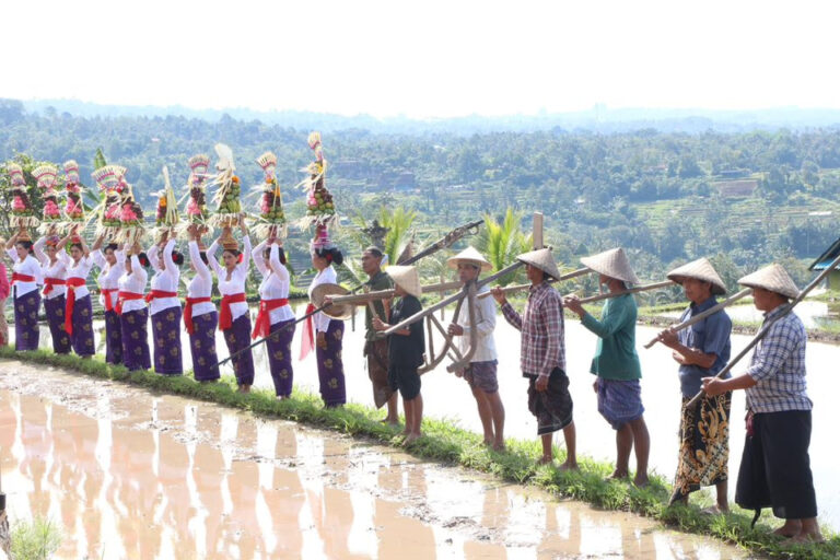 WhatsApp Image 2025-10-10 at 11.34.49