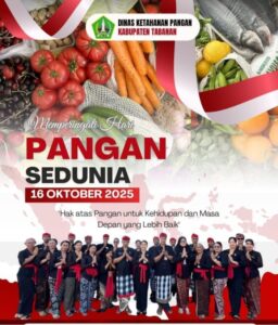 WhatsApp Image 2025-10-15 at 16.20.10