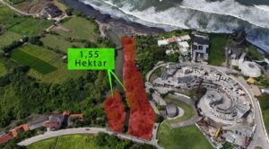 WhatsApp Image 2025-10-17 at 18.16.13