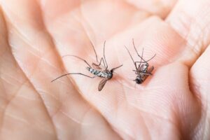 WhatsApp Image 2025-10-21 at 12.14.52