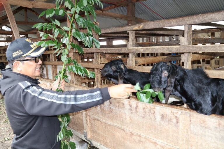 WhatsApp Image 2025-10-25 at 04.52.23