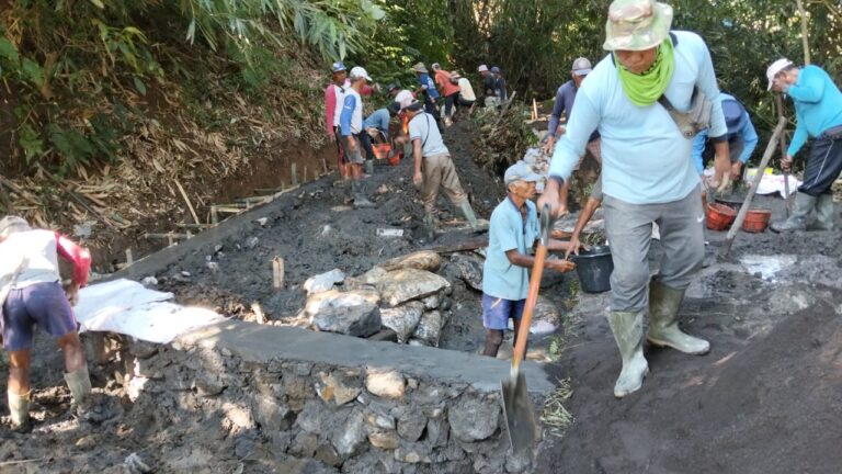 WhatsApp Image 2025-10-28 at 14.51.40