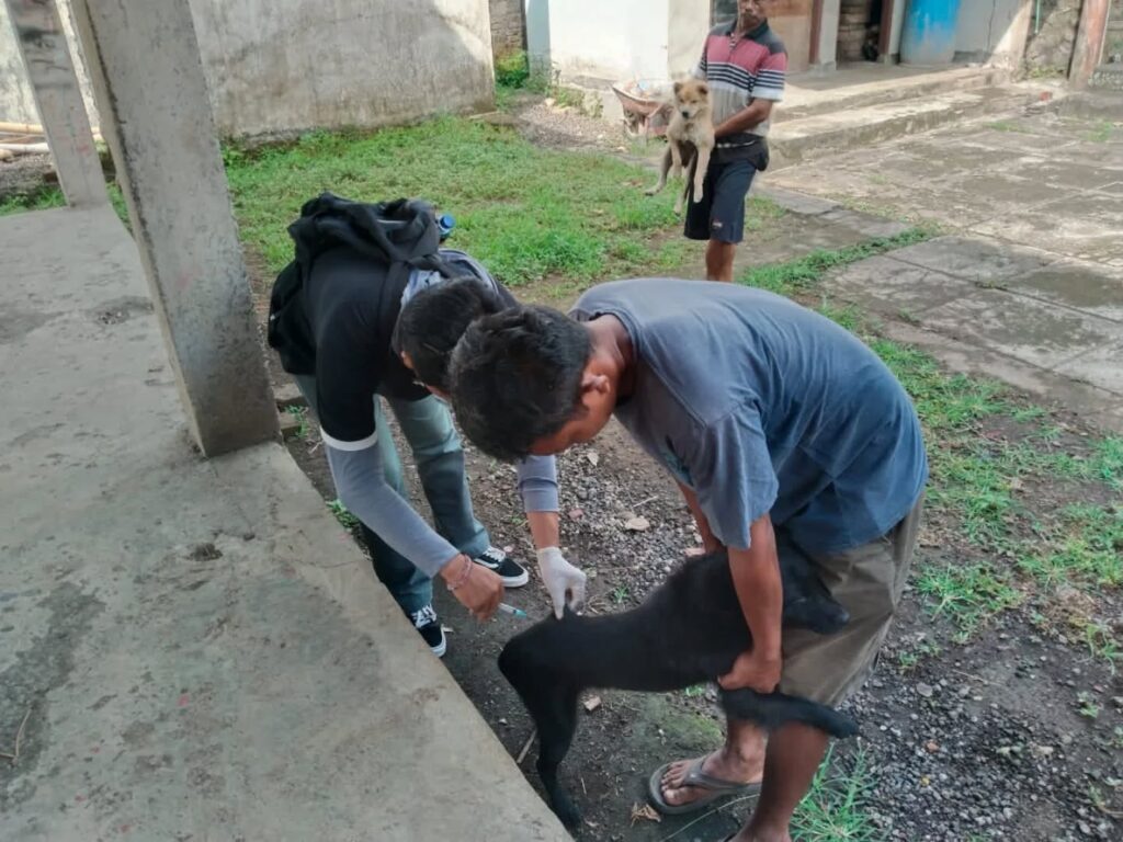 WhatsApp Image 2025-10-30 at 07.00.45