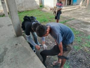 WhatsApp Image 2025-10-30 at 07.00.45