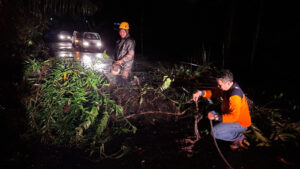 WhatsApp Image 2025-11-05 at 06.46.51