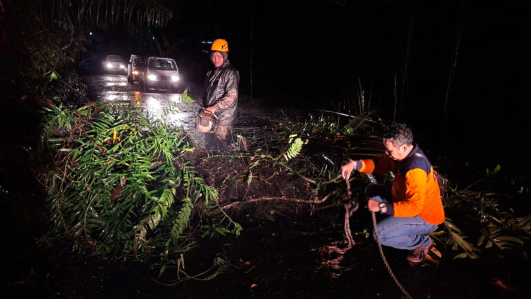 WhatsApp Image 2025-11-05 at 06.46.51