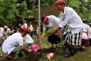 WhatsApp Image 2025-11-06 at 11.06.11