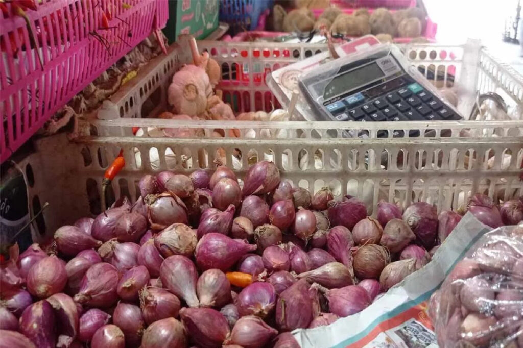 WhatsApp Image 2025-11-16 at 16.21.42