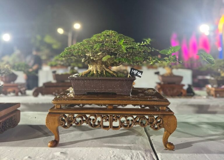 WhatsApp Image 2025-12-08 at 14.27.52