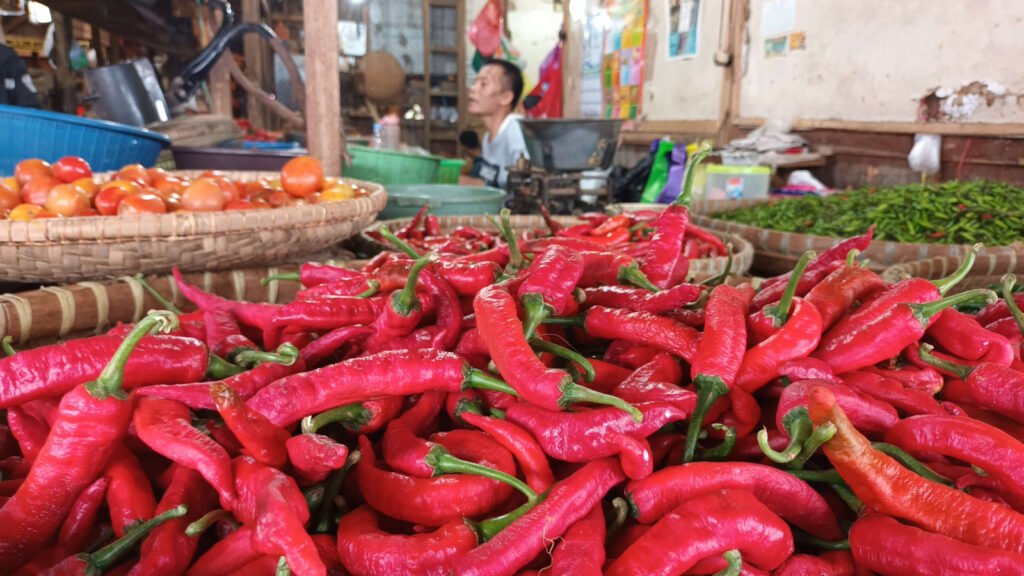 WhatsApp Image 2025-12-18 at 07.00.09