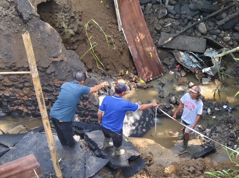 WhatsApp Image 2026-01-16 at 15.46.25