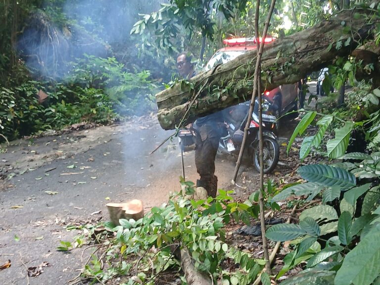 WhatsApp Image 2026-01-22 at 14.37.05