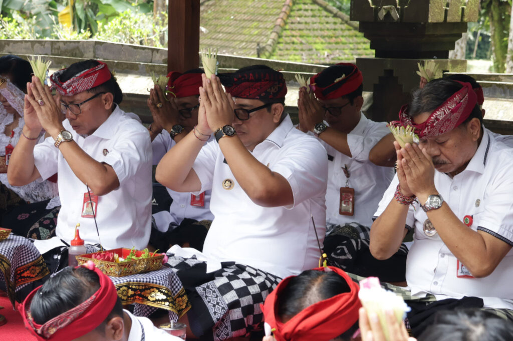 WhatsApp Image 2026-02-07 at 07.28.04