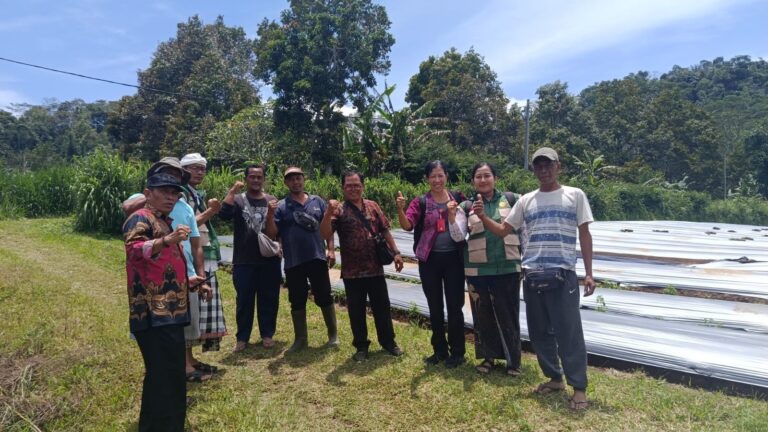 Holtikultura2026-03-25 at 20.08.56